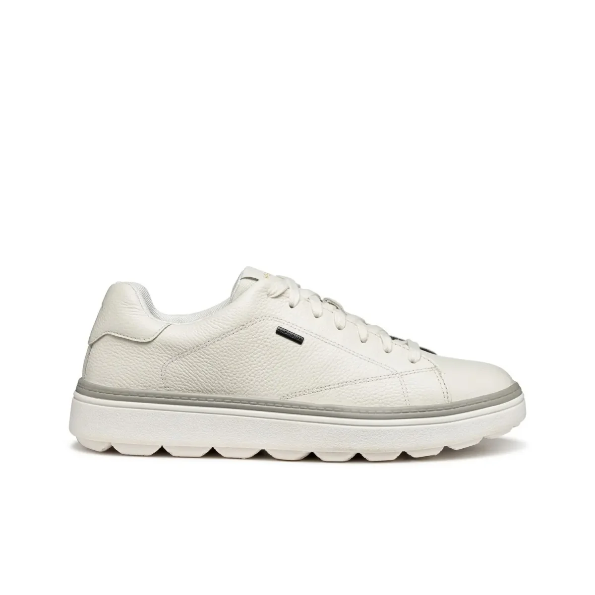 Geox Baskets Geox Spherica Ecub-1.1